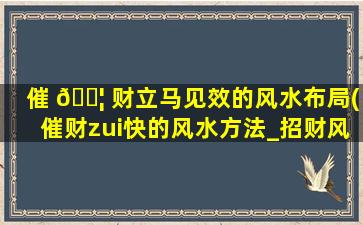 催 🐦 财立马见效的风水布局(催财zui
快的风水方法_招财风水(催财)_包双龙 🐳 )